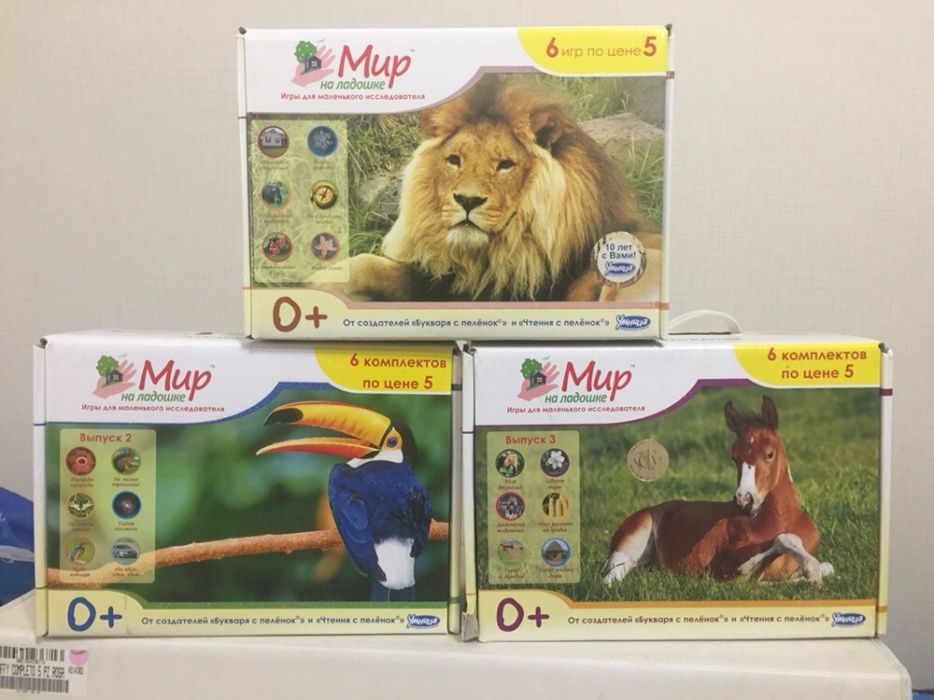 Мир на ладошке