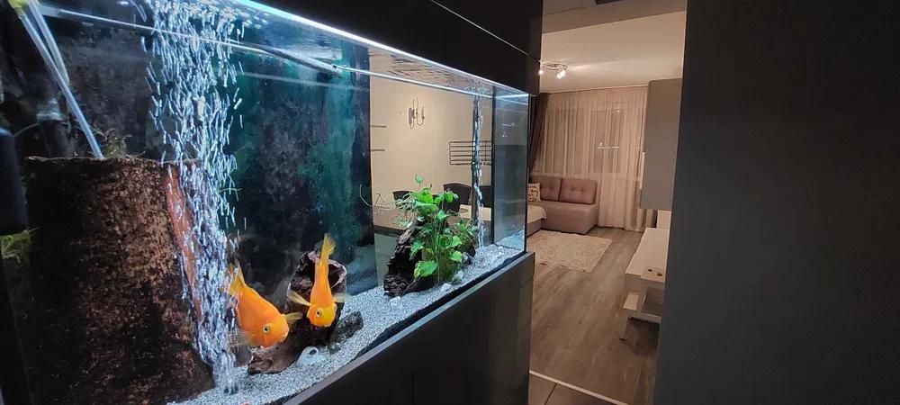 Тристаен апартамент, под наем, Окръжна болница