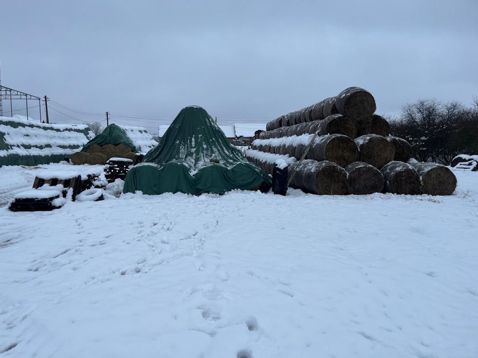 Vand baloti de paie ,lucerna 300 lei ,fân 200 lei ,infoliati lucerna