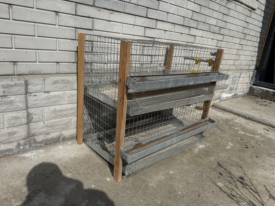 Клетка для перепелов несушек