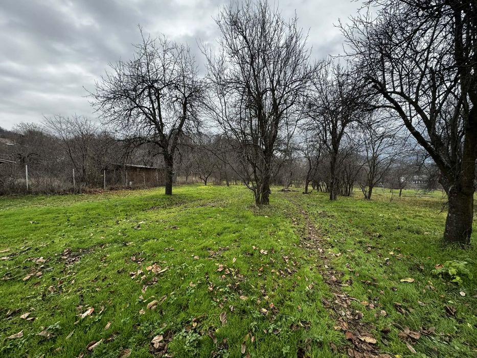 Casa batraneasca 2 camere + teren