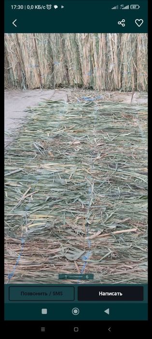 Камичлар бор хар хил