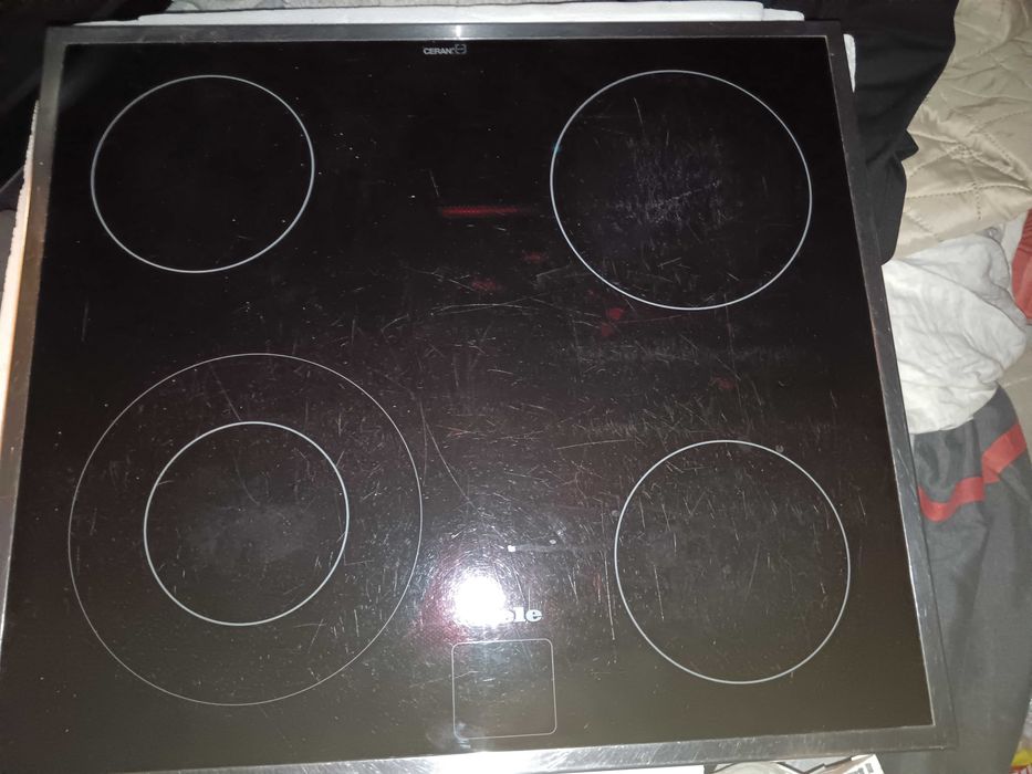 Плод за вграждане