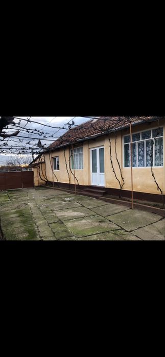 Vând casă 3 camere,hol,baie,bucătarie vară,cămară,pivniță