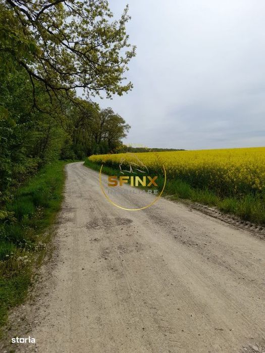 Teren cu PUZ Caldarusani lac/padure 2700 mp