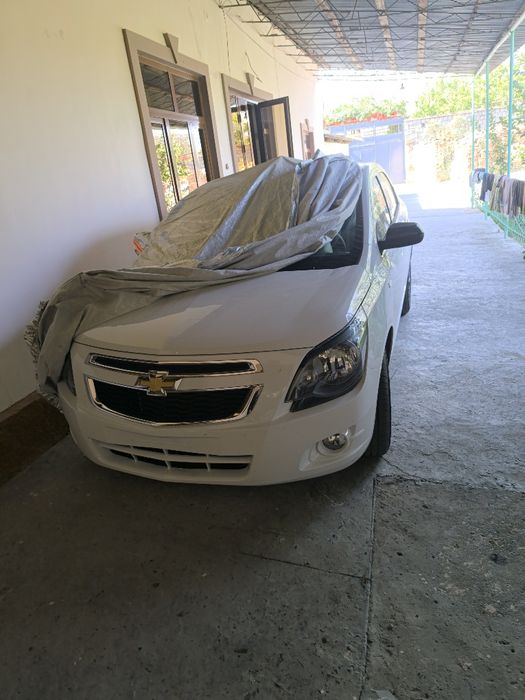 Cobalt Midnight pachka.