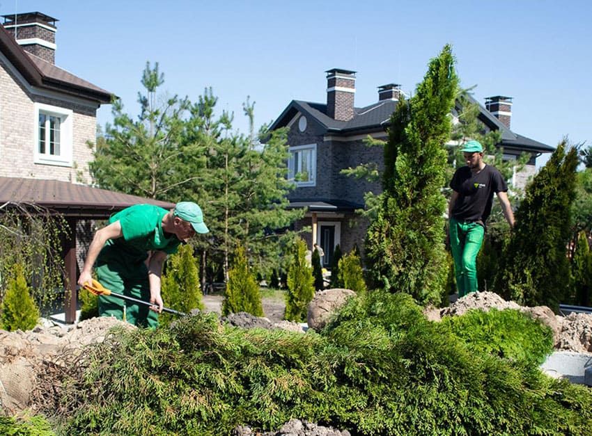 Предлагаю услуги. Садовник озеленение Богбон кукаламзорлаштир ишлари.