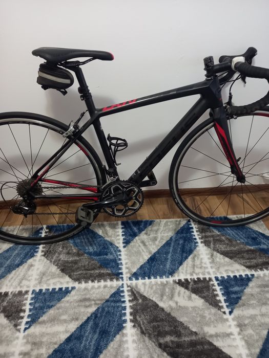 Semicursiera Focus Cayo