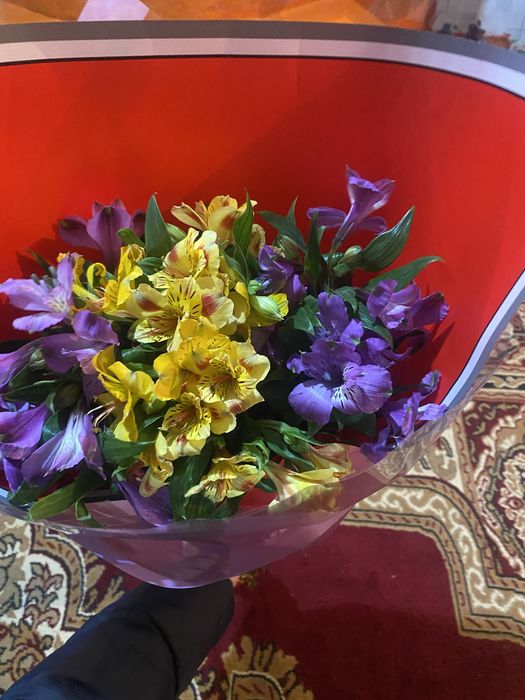 Свежый жаңадан келген