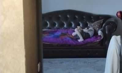 КожДиван самовывоз