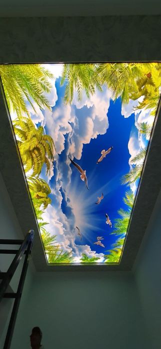 Натяжной паталог Natijnoy pataloг натижной паталок Natijnoy patalok