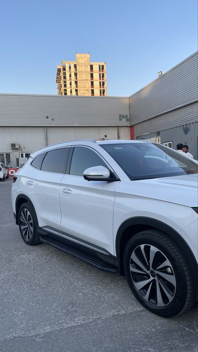 Byd chempion