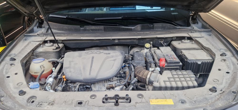 Zor toza yurgani halol