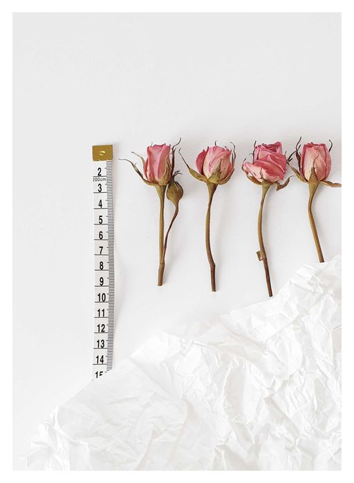 Естествени, сухи мини рози, сухи цветя за декорация