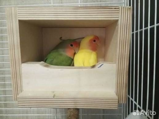 Гнезда для птичек