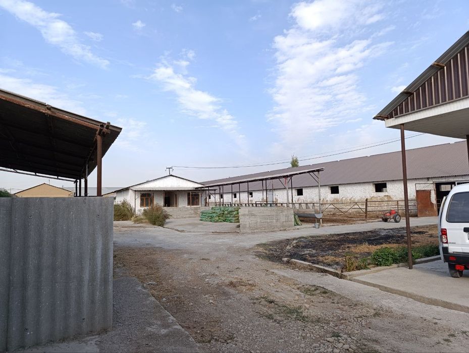 Янги У́збекистон срочно 10 сот не жилой