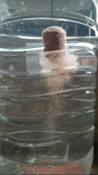 Технопланктон за толстолоб