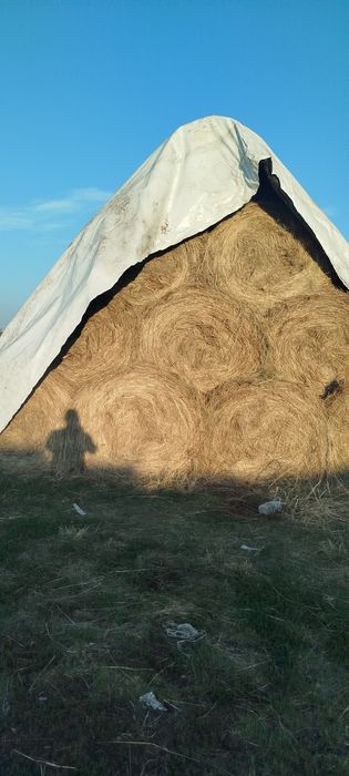 Продам сено в тюках
