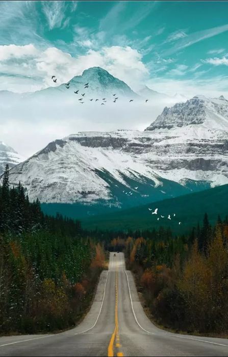 Картины фотопечать на холсте постеры