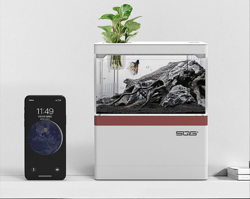 Мини аквариумы, идеальное решение для офиса, аквариумные рыбки, петушк