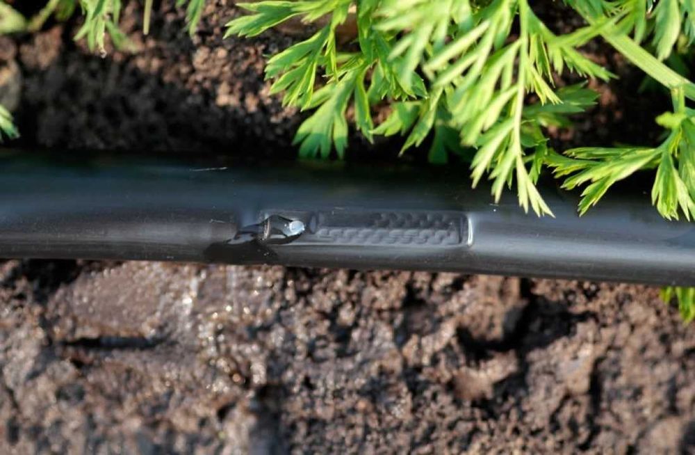 250 so'm. Tomchilatib sug'orish lentasi