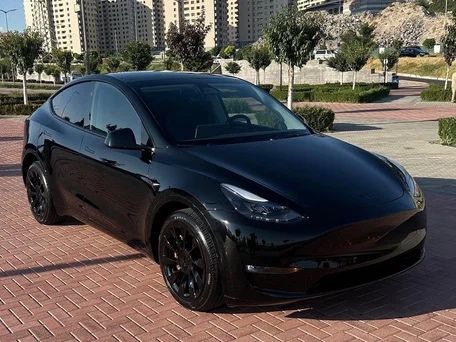 Tesla model Y 2022 TOTAL BLACK