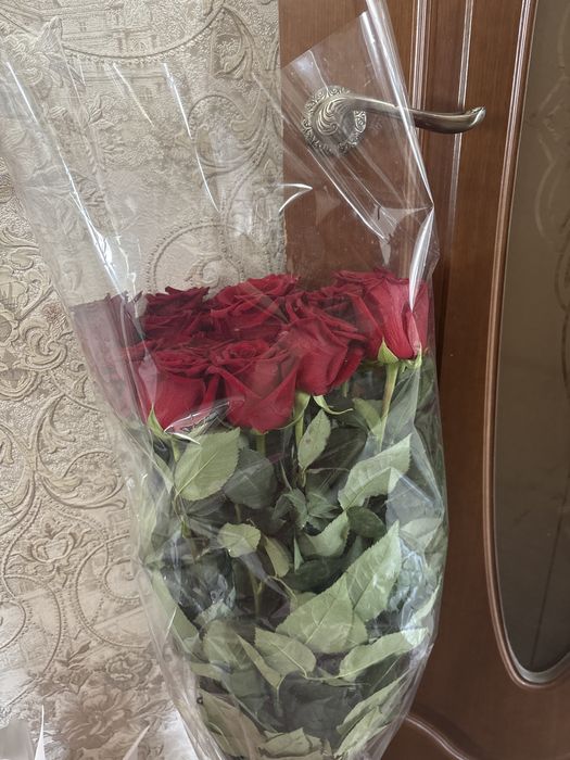 Цветы продам недорого б/у дешево