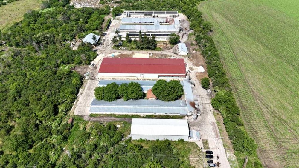 Действаща птицеферма за продажба в с. Борисово