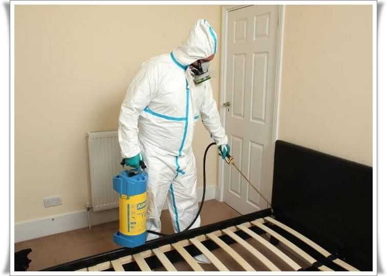 Dezinfeksiya xizmati | Dizinfeksiya | Dorilash xizmati | Klapaga Dori