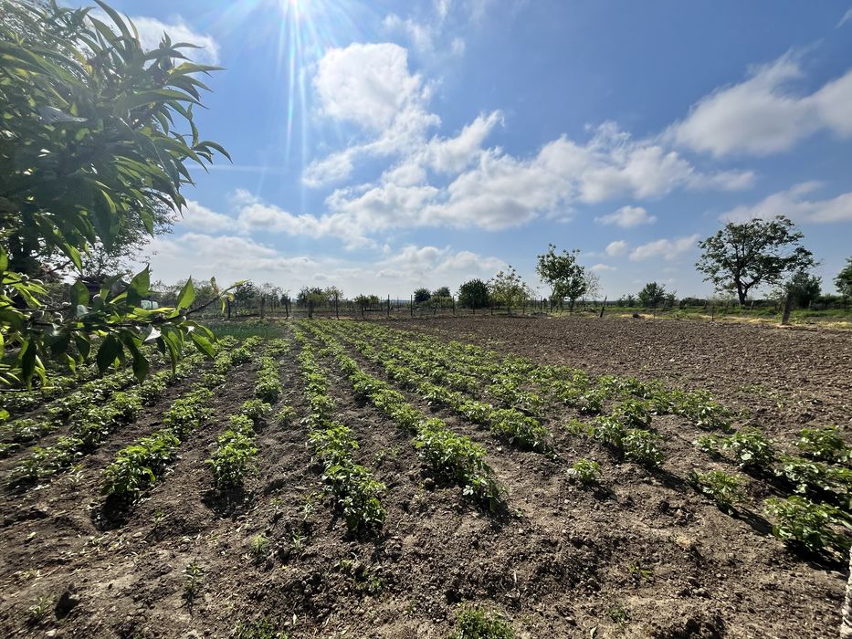 Casa Osica de Sus Osica de Sus • OLX.ro