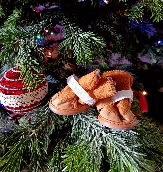 Ghetuțe totoșei Chihuahua, Pomeranian, Bichon Maltez, Yorkshire