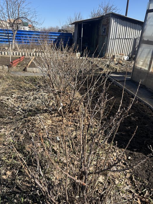 Дача с участком