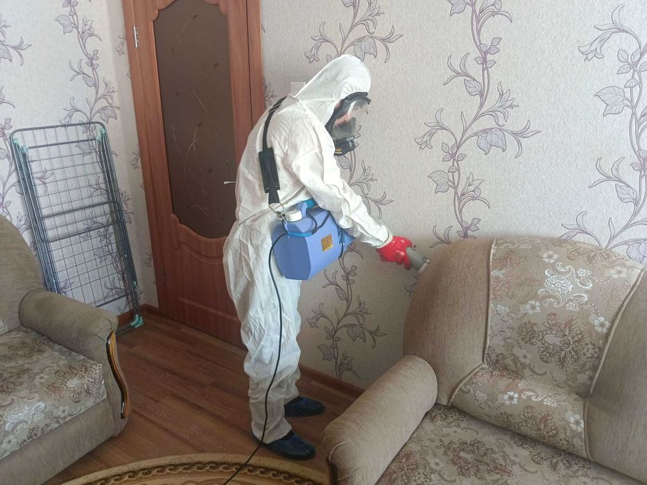 Dezinfeksiya Klop klapa tarakan запахи плесень Dezinfeksiya клоп D11