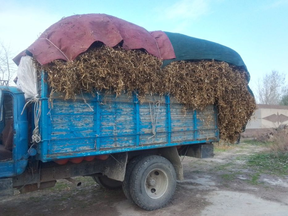 Gaz 53 xolati yaxwi dakument lari joyida matorlari xamasi yangi