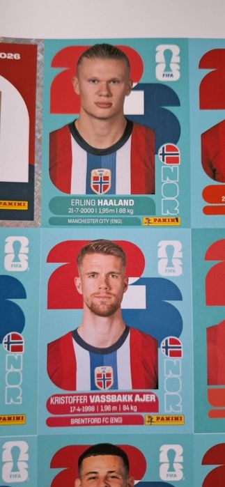 Album Pdf panini world cup 2026