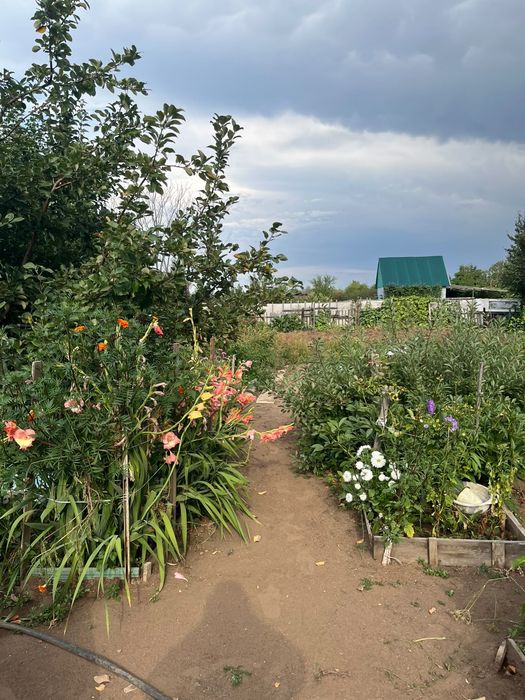 Продам дачу 6 соток