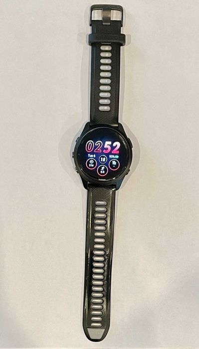 Спортивные часы Garmin Forerunner 255, 46 мм