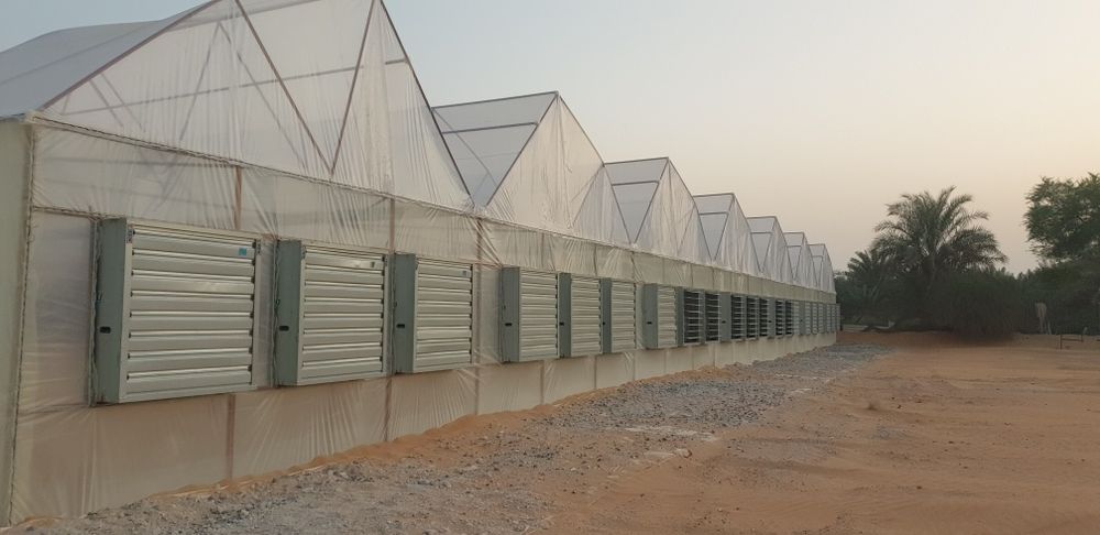 Охлаждения теплицы