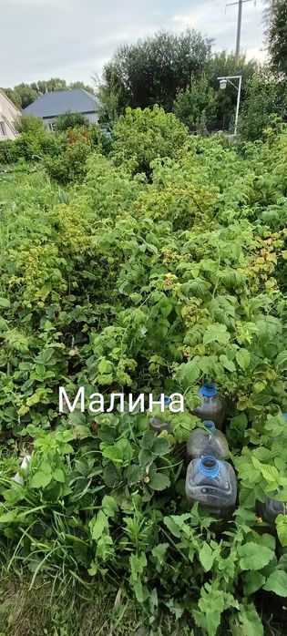 Продам дачу в хорошем состоянии.