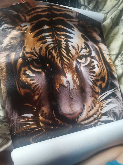 Картини платна Вълк, Тигър и Пантера