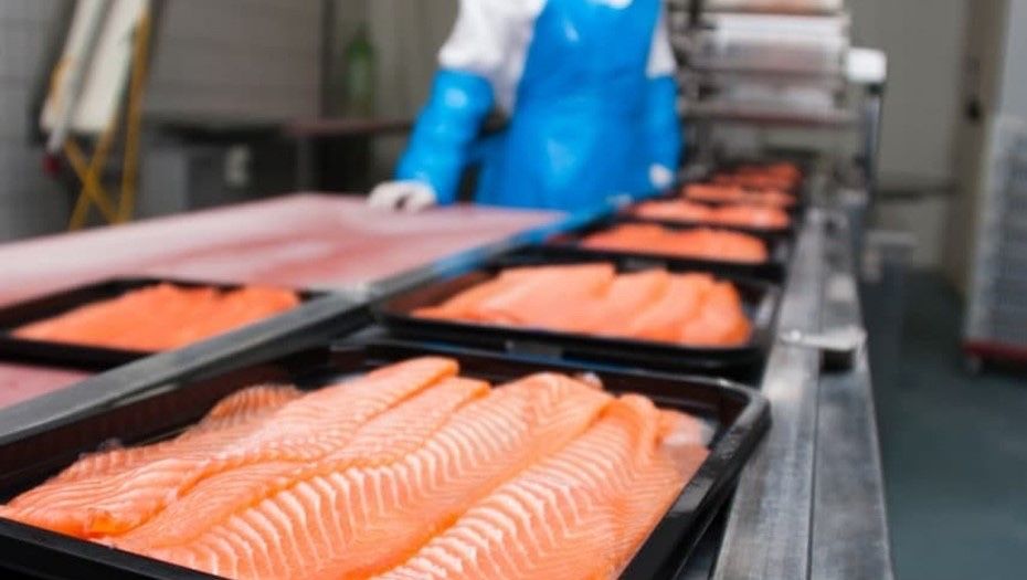 Аренда рыбного цеха