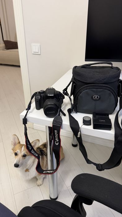 Canon EOS 550D с объективом и аксессуарами