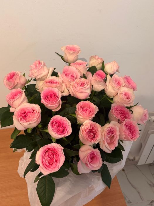 25шт Розы Букет Свежие
