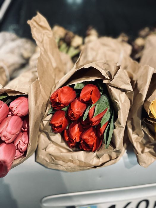 Свежий тюльпаны в хорошем ценам В Есикее