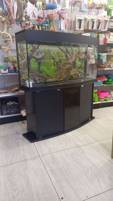 Akvarium 200 litrlik yengi sifat