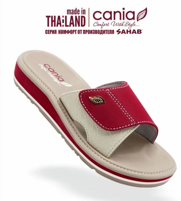 Cania Tapichka Thailand Orgenal