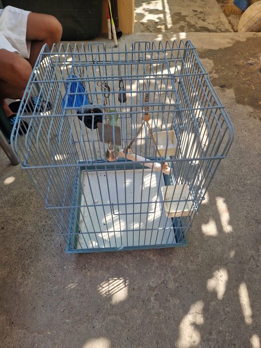 Vând cușcă mare pentru papagal