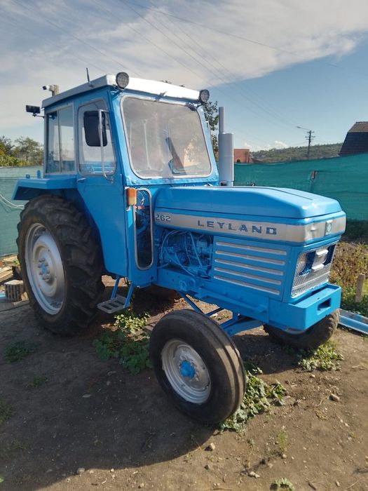 Vand sau schimb cu vaci ,vitei ,