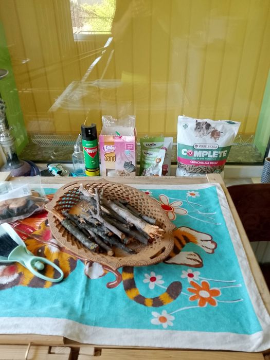 Чинчила с клетка и аксесоари