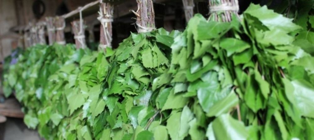 Продам банные  веники берёзовые